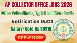 AP Collector Office Recruitment 2026 - Apply Offline for 29 Office Subordinate, Typist and More Posts