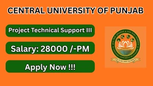 Central University of Punjab Project Technical Support III Recruitment 2026 - Apply Online