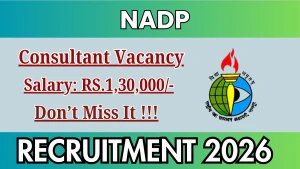 NADP Consultant Recruitment 2026 - Apply Online NADP Consultant Recruitment 2026 - Apply Online