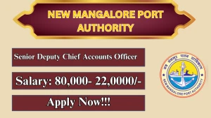 NMPA Senior Deputy Chief Accounts Officer Recruitment 2026 - Apply Online