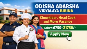 OAV Bibina Recruitment 2026 - Apply Offline for Chowkidar, Head Cook and More Posts