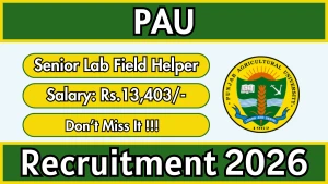 PAU Senior Lab Field Helper Recruitment 2026 - Apply Offline