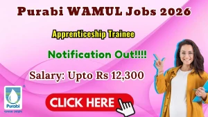 Purabi WAMUL Apprentices Recruitment 2026 - Walkin for 10 Graduate, Diploma Apprentices Posts