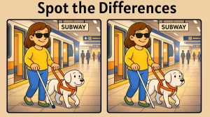 Spot the Difference Puzzle: Can You Find All the 3 Differences in 10 Seconds?