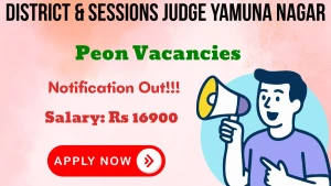 District & Sessions Judge Yamuna Nagar Peon Recruitment 2026 - Apply Offline for 10 Posts District & Sessions Judge Yamuna Nagar Peon Recruitment 2026 - Apply Offline for 10 Posts