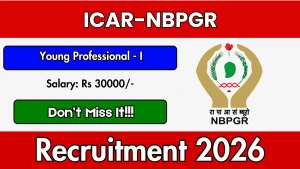 ICAR-NBPGR Young Professional Recruitment 2026 - Walkin ICAR-NBPGR Young Professional Recruitment 2026 - Walkin