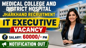 Medical College and District Hospital Jharkhand IT Executive Recruitment 2026 - Apply Online for 29 Posts Medical College and District Hospital Jharkhand IT Executive Recruitment 2026 - Apply Online for 29 Posts