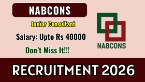 NABCONS Junior Consultant Recruitment 2026 - Apply Online