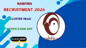 NABFINS Cluster Head Recruitment 2026 - Apply Online