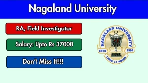 Nagaland University Recruitment 2026 - Apply Online for Research Assistant, Field Investigator Posts