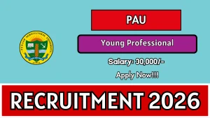 PAU Young Professional I Recruitment 2026 - Apply Offline