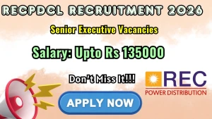 RECPDCL Senior Executive Recruitment 2026 - Apply Online