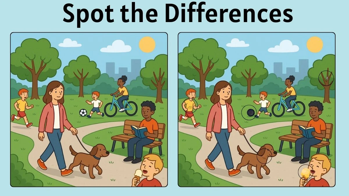 Spot the 5 Differences: Can You Find All 5 Differences in This Image Within 10 Seconds?