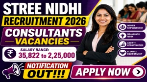 Stree Nidhi Consultants Recruitment 2026 - Apply Offline for 19 Manager, Chief Manager and More Posts