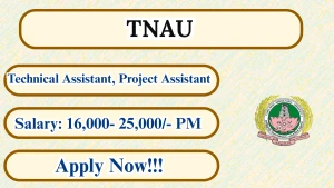 TNAU Recruitment 2026 - Walkin for Project Assistant / Technical Assistant Posts