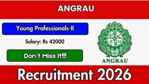 ANGRAU Young Professionals-II Recruitment 2026 - Walkin