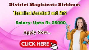 District Magistrate Birbhum Recruitment 2026 - Apply Offline for 22 Technical Assistant and Multi-Tasking Staff Posts