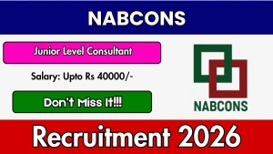NABCONS Junior Level Consultant Recruitment 2026 - Apply Online NABCONS Junior Level Consultant Recruitment 2026 - Apply Online