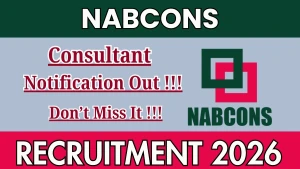 NABCONS Consultant Recruitment 2026 - Apply Online NABCONS Consultant Recruitment 2026 - Apply Online