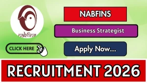NABFINS Business Strategist Recruitment 2026 - Apply Online NABFINS Business Strategist Recruitment 2026 - Apply Online