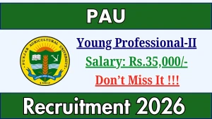 PAU Young Professional-II Recruitment 2026 - Apply Offline