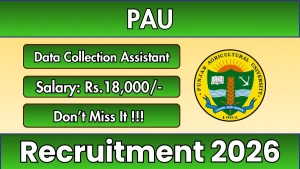 PAU Data Collection Assistant Recruitment 2026 - Apply Offline PAU Data Collection Assistant Recruitment 2026 - Apply Offline