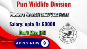 Puri Wildlife Division Wildlife Veterinarian Recruitment 2026 - Apply Offline Puri Wildlife Division Wildlife Veterinarian Recruitment 2026 - Apply Offline