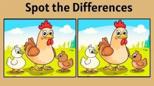 Spot the Difference Game: Find 3 Hidden Changes in Hen and Chick Image | Fun 10-Second Brain Test Puzzle