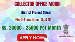 Collector Office Morbi District Project Officer Recruitment 2026 - Apply Offline Collector Office Morbi District Project Officer Recruitment 2026 - Apply Offline