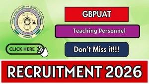 GBPUAT Teaching Personnel Recruitment 2026 - Walkin for 20 Posts GBPUAT Teaching Personnel Recruitment 2026 - Walkin for 20 Posts