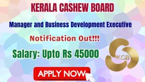 Kerala Cashew Board Recruitment 2026 - Apply Online for Manager and Business Development Executive Posts Kerala Cashew Board Recruitment 2026 - Apply Online for Manager and Business Development Executive Posts