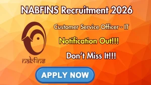 NABFINS Customer Service Officer - IT Recruitment 2026 - Apply Online