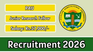 PAU Junior Research Fellow Recruitment 2026 - Apply Offline