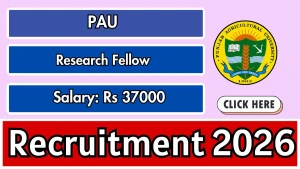 PAU Research Fellow Recruitment 2026 - Apply Offline PAU Research Fellow Recruitment 2026 - Apply Offline