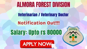 Almora Forest Division Veterinarian / Veterinary Doctor Recruitment 2026 - Apply Online Almora Forest Division Veterinarian / Veterinary Doctor Recruitment 2026 - Apply Online