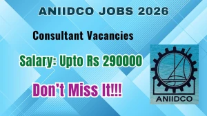 ANIIDCO Consultant Recruitment 2026 - Apply Offline ANIIDCO Consultant Recruitment 2026 - Apply Offline