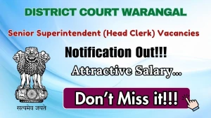 District Court Warangal Senior Superintendent Recruitment 2026 - Apply Offline