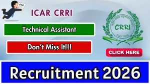 ICAR CRRI Technical Assistant Recruitment 2026 - Walkin ICAR CRRI Technical Assistant Recruitment 2026 - Walkin