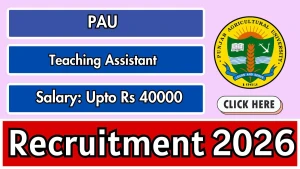 PAU Teaching Assistant Recruitment 2026 - Apply Offline