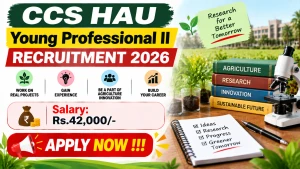 CCS HAU Young Professional II Recruitment 2026 - Apply Offline CCS HAU Young Professional II Recruitment 2026 - Apply Offline