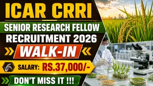 ICAR CRRI Senior Research Fellow Recruitment 2026 - Walkin ICAR CRRI Senior Research Fellow Recruitment 2026 - Walkin