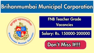 BMC FNB Teacher Recruitment 2026 – Apply Offline for  Senior Consultant, Junior Consultant Posts