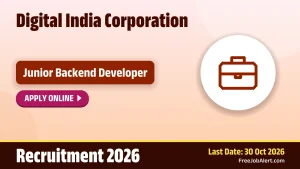 DIC Junior Backend Developer Recruitment 2026 – Apply Online