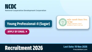 NCDC Young Professional II Recruitment 2026 – Apply Online