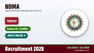 NDMA Intern Recruitment 2028 – Apply Online for 10 Posts