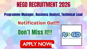 NeGD Recruitment 2026 - Apply Online for Programme Manager, Business Analyst, Technical Lead Posts