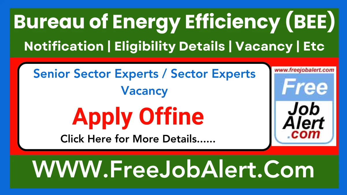 BEE Senior Sector Experts / Sector Experts Recruitment 2025 – Apply Offline for 16 Posts