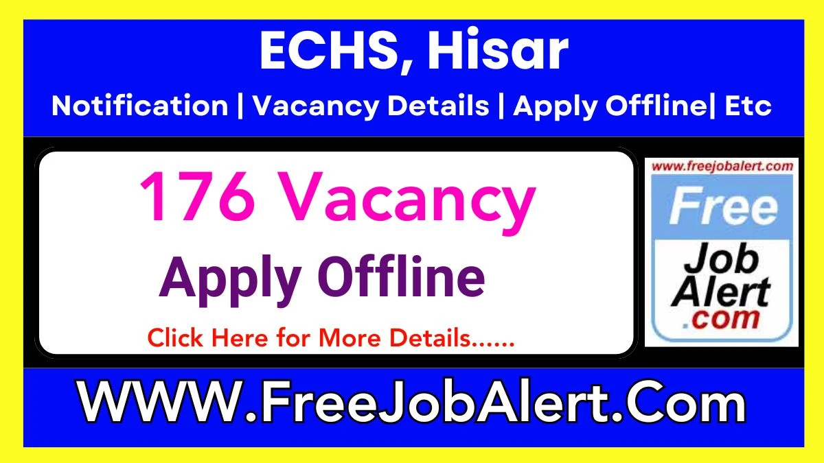 ECHS, Hisar Driver, DEO & Other Recruitment 2025 – Apply Offline for 176 Posts