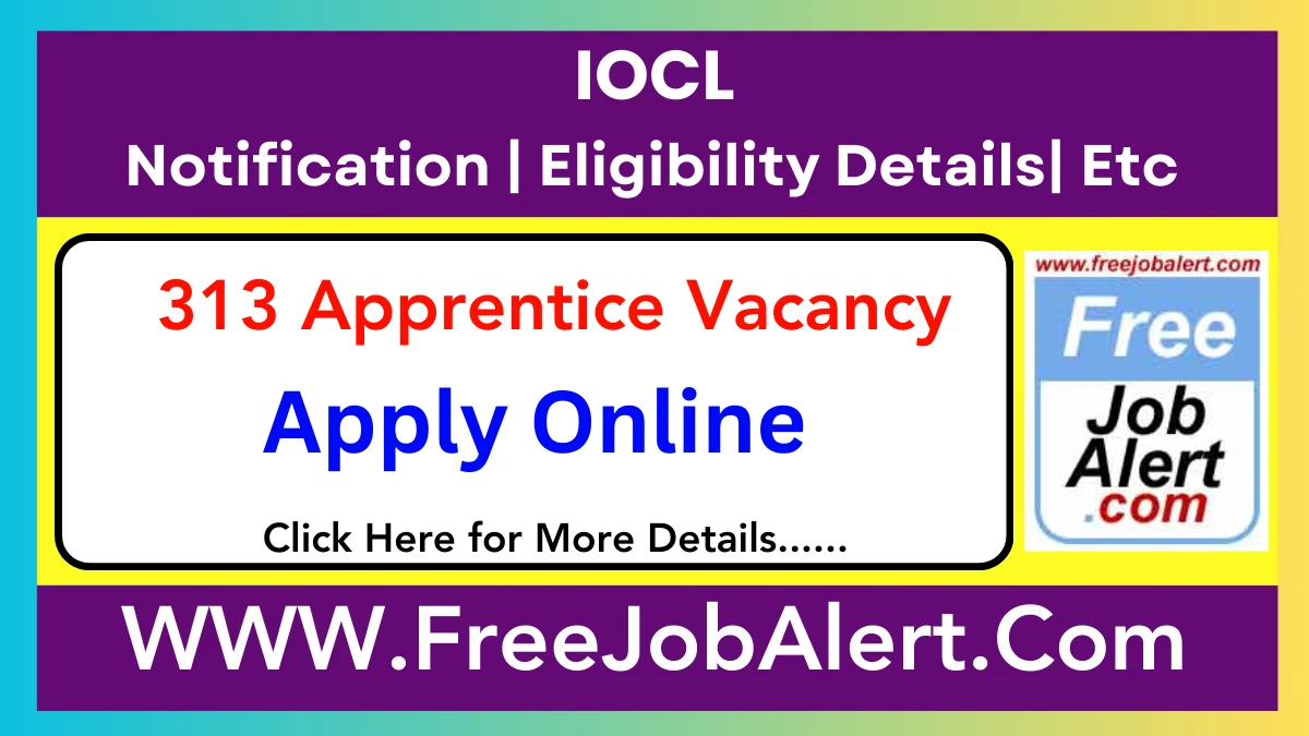 IOCL Trade/Technician/Graduate Apprentice Recruitment 2025 – Apply Online for 313 Posts