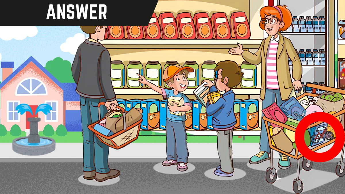 Optical Illusion IQ Test: Only Highly Observant Can Spot the Hidden Bicycle in this Supermarket Image in 8 seconds!